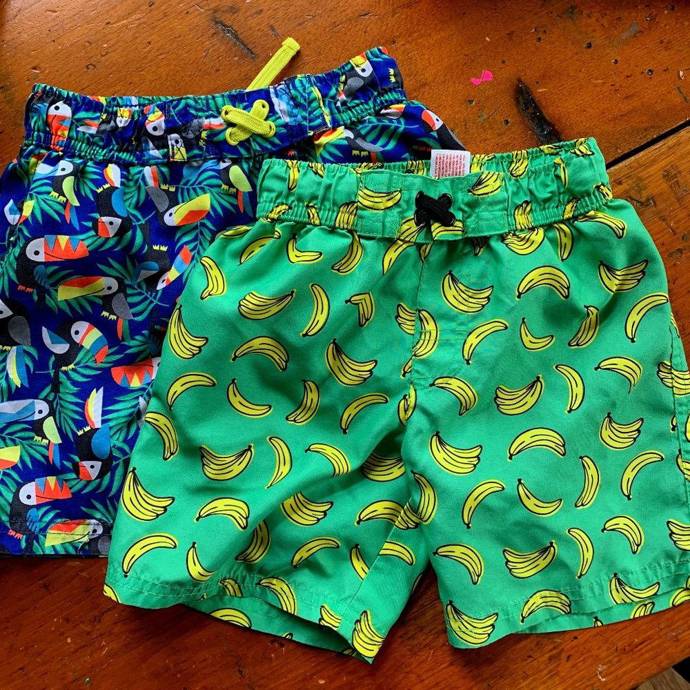 Lot of 2 Swimming Shorts 5T